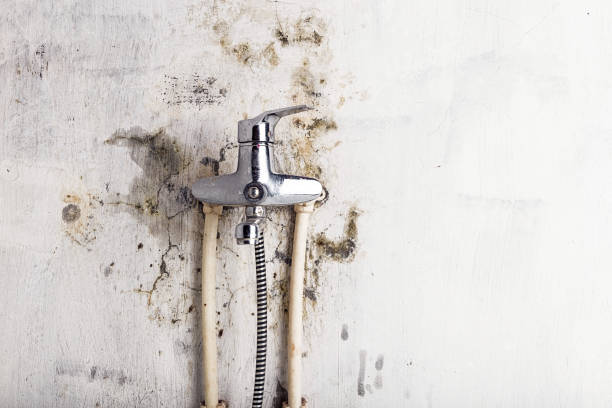 Best Emergency Mold Removal  in Livonia, LA