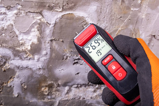 Best Office Mold Removal Services  in Livonia, LA