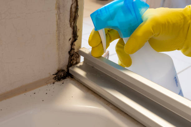 Best Fast Mold Removal  in Livonia, LA