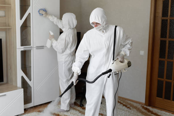Best Certified Mold Removal  in Livonia, LA