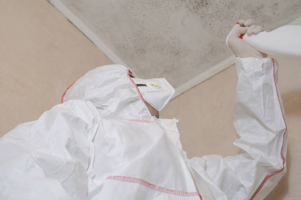 Professional Mold Removal in Livonia, LA