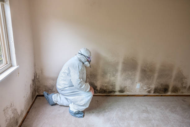 Best Crawl Space Mold Removal  in Livonia, LA